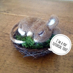 PDF to make a Sleeping dormouse-mouse-printable needle felting tutorial with equipment list-Mary Jane Lillie Felting,Workshops and  Supplies