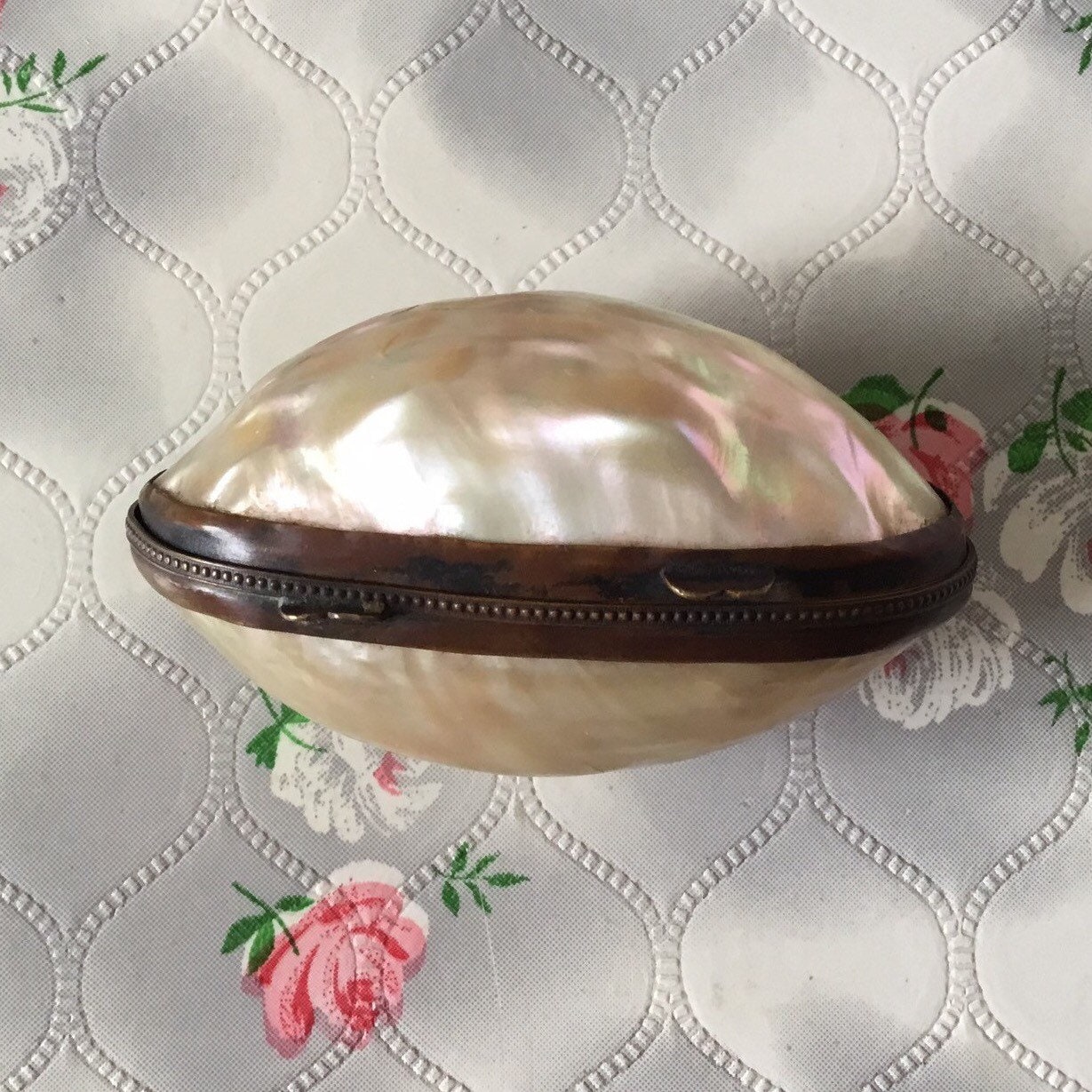 Yellow MOTHER OF PEARL Shell Trinket Box Coin Purse - Etsy | Trinket boxes,  Yellow cups, Trinket