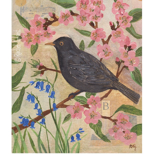 Blackbird, Blossom and Bluebells PRINT