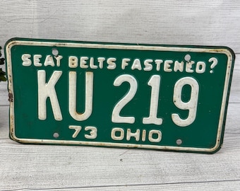 Vintage 1973 Seat Belts Fastened Ohio License Plate