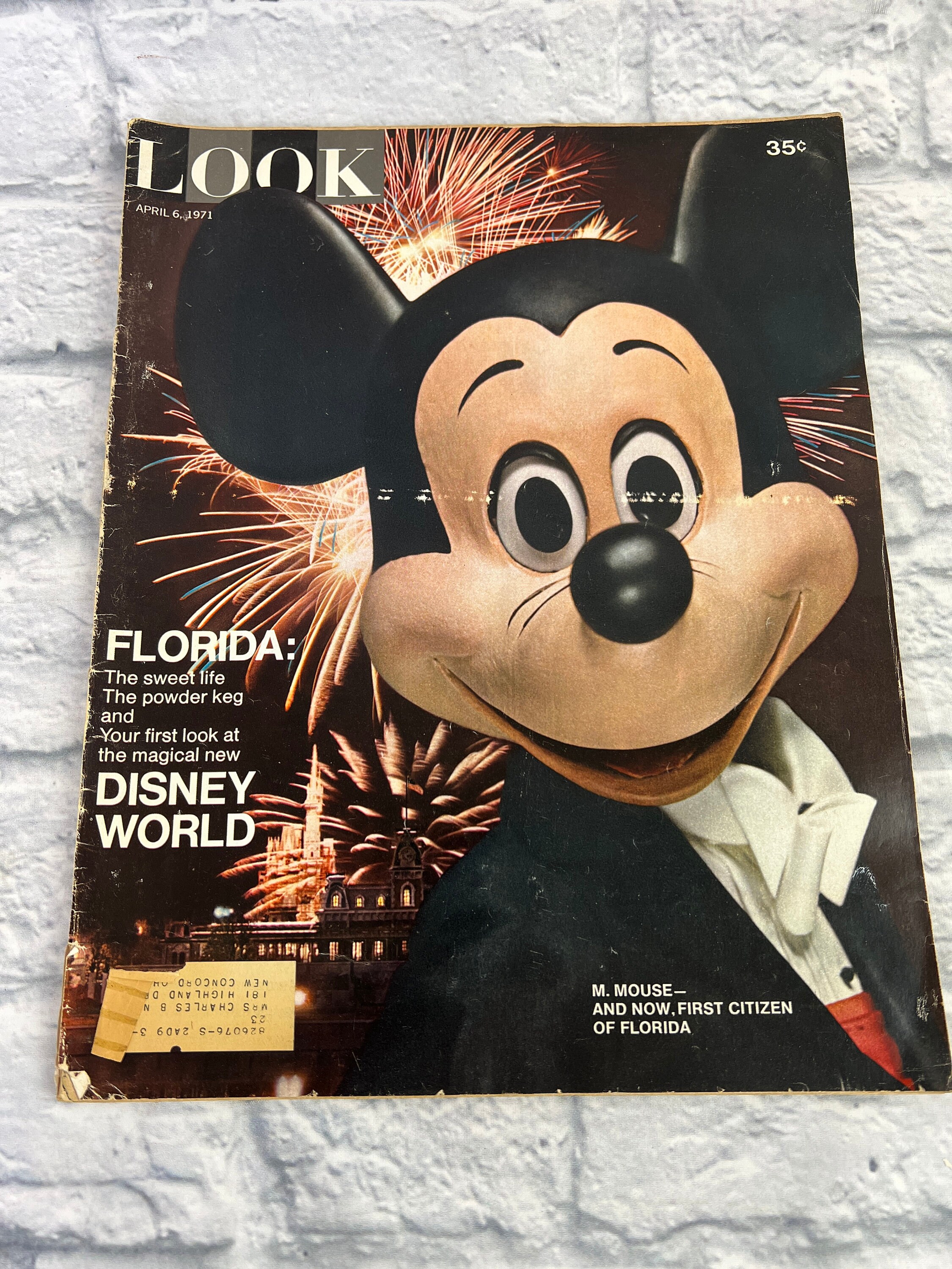 Vintage Look Magazine Disney World Issue - April 6, 1971 - Etsy Vintage Look Magazine Disney World Issue - April 6, 1971 - Etsy
