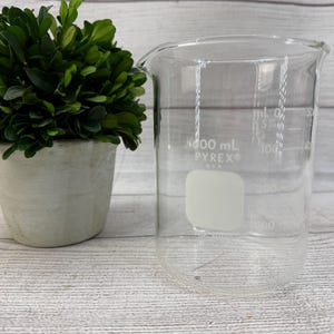 May include: A clear Pyrex beaker with measurement markings, next to a small potted plant with green leaves. The beaker has a 400 mL capacity and is made in the USA.