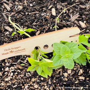 Puede incluir: Una herramienta de madera para pelar hierbas con el texto "Herb Stripper Maple Landmark" en ella. La herramienta est&aacute; sobre un lecho de hierbas verdes.