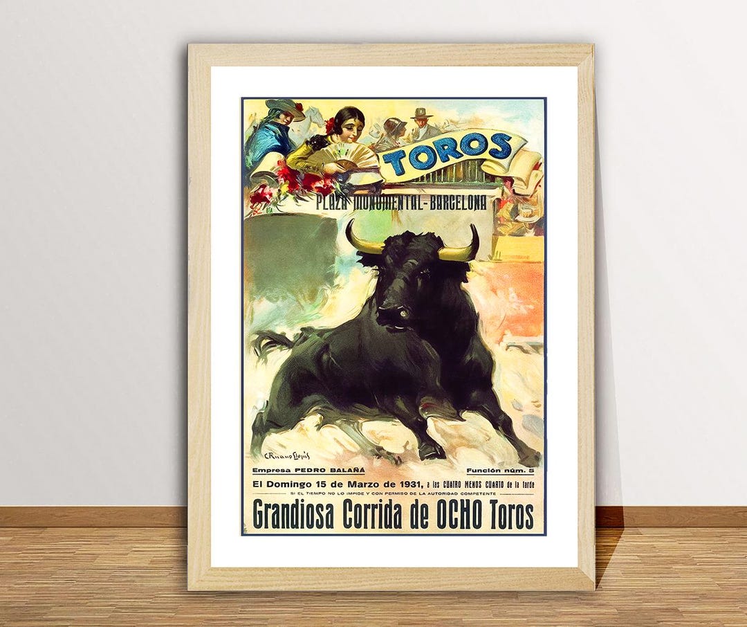 Tirage Vintage Original Saint-Sébastien Plaza De Toros - Espagne - Circa 1875 - 12x18.5cm