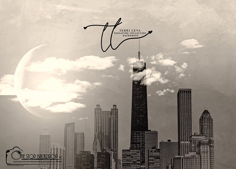 Cityscape 1 Backdrop on Glare Free Vinyl 7/' wide by 5/' tall
