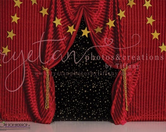 Circus Tent Curtain  Backdrop RTP002 on 80”x60” Fleece Fabric