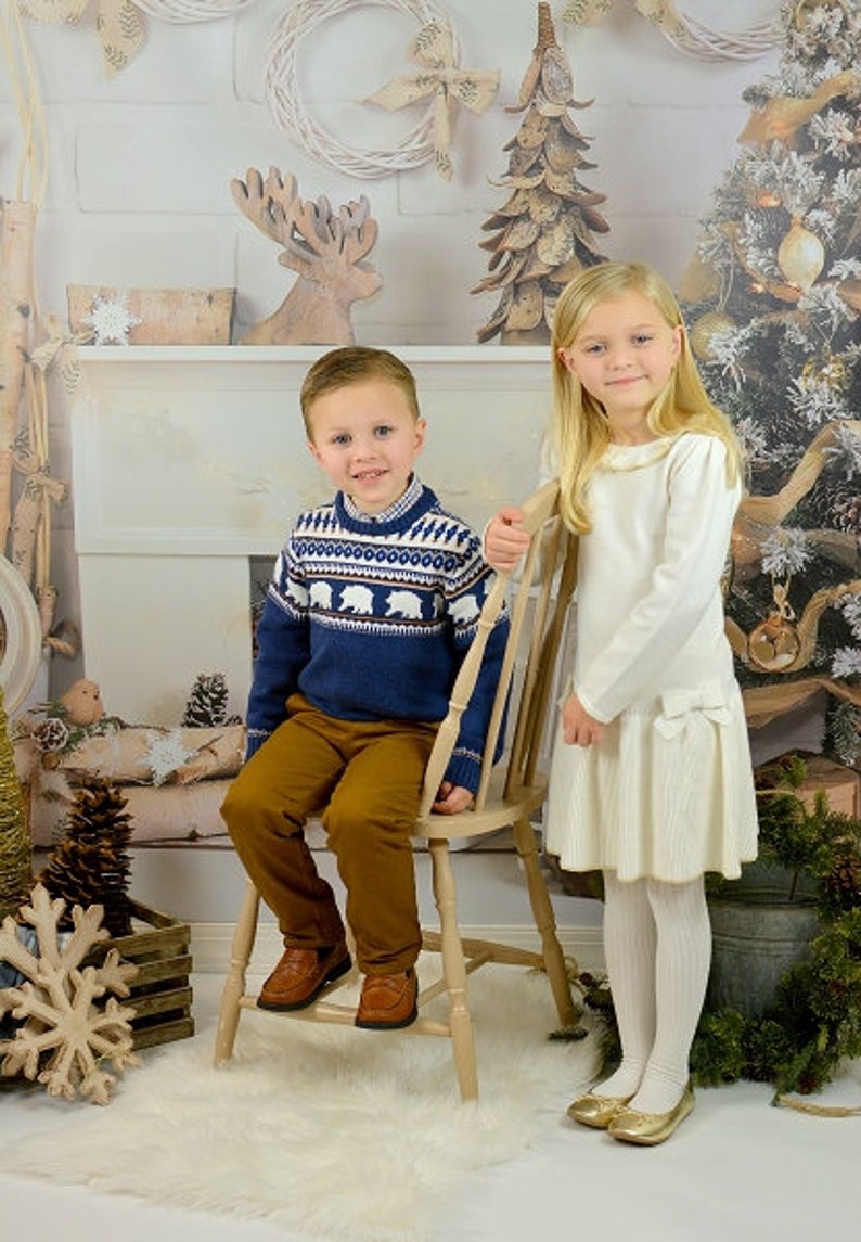 Rustic Christmas Backdrop on Glare Free Vinyl 7/' wide by 5/'