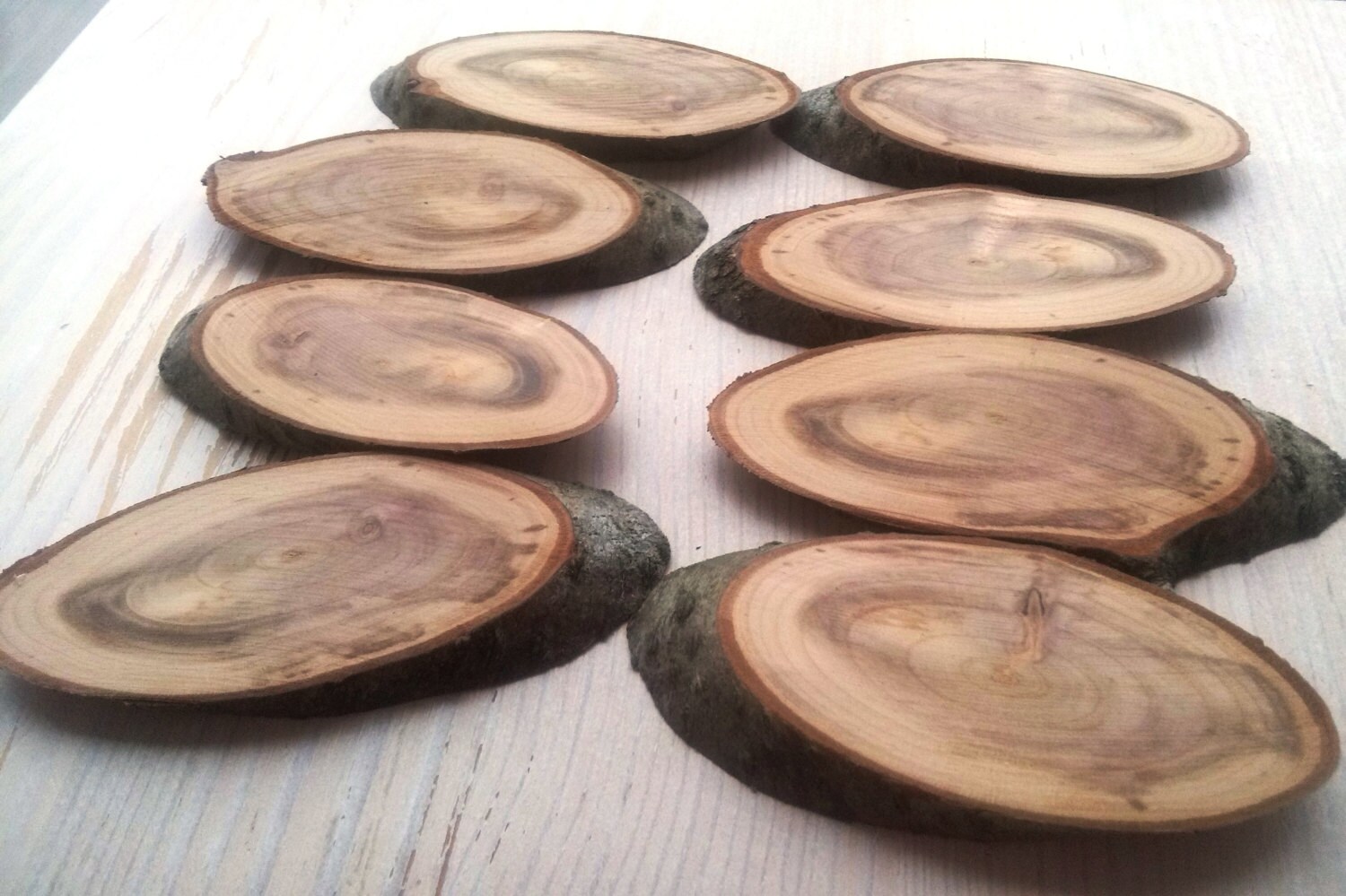 Wood ovals 8 pcs wooden ovals Tree slice Unfinished wood Etsy