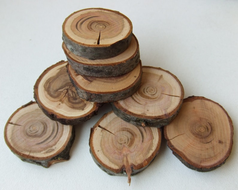 Wood circle 9 pcs Round wooden circle Tree slice Unfinished Etsy