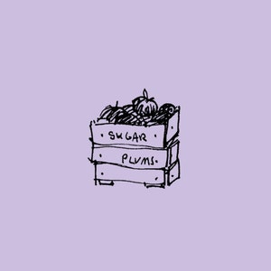 holiday greeting card: sugarplum pie shop