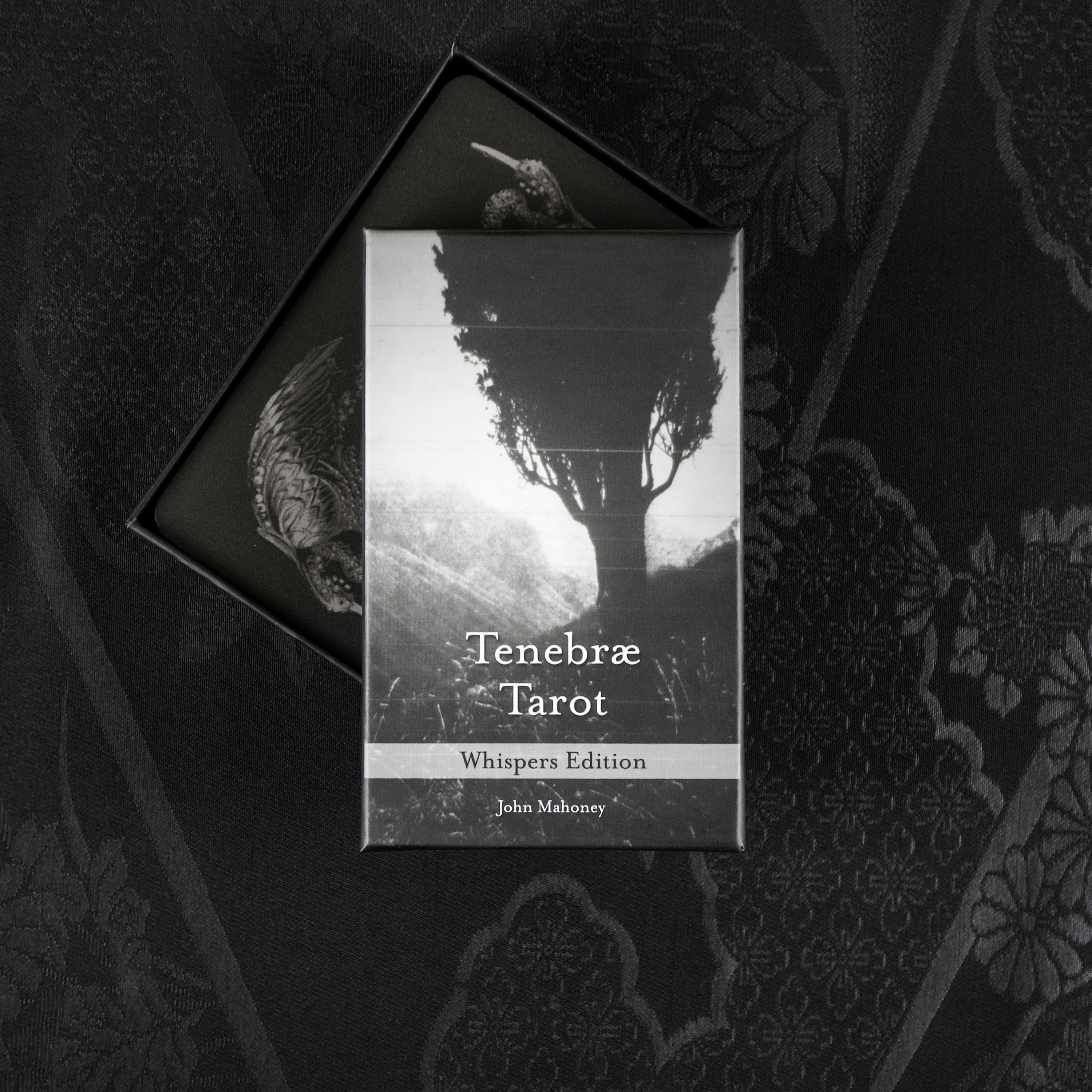 Tenebrae Tarot Whispers - Etsy India