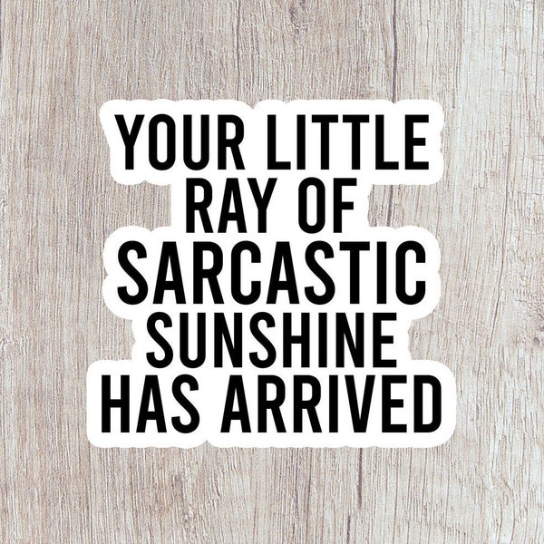 Little Ray of Sarcastic Sunshine Sticker Funny Laptop Sticker, Water Bottle Sticker, Funny Sarcastic Stickers, Tumbler Decals Funny Gift
