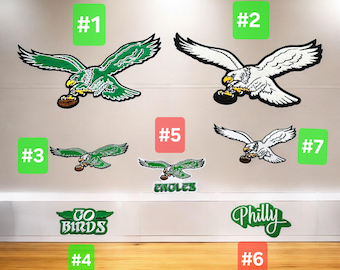 Philadelphia eagles  chenille and embroidery Iron-On Patch
