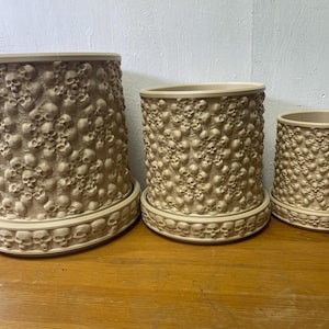 May include: Three beige plant pots featuring a skull design. The pots are cylindrical with matching saucers. The largest pot is slightly tilted. The pots are made of a light-coloured material and sit on a wooden surface.