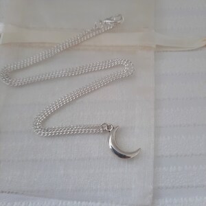 May include: A silver chain necklace with a crescent moon pendant.