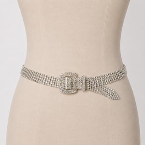 Wide Mesh Belt - Etsy display picture 1