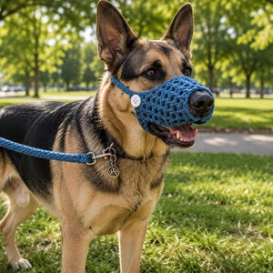 May include: A German Shepherd dog wearing a blue crocheted muzzle with a white button on the side. The dog is attached to a matching blue crocheted leash with a silver metal clip and a small silver paw print charm hanging from its collar.
