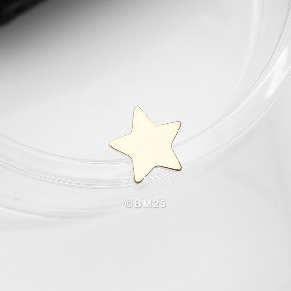 14 Karat Gold OneFit™ Threadless Flat Star Top Part