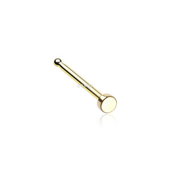 Golden Round Plate Basic Steel Nose Stud Ring