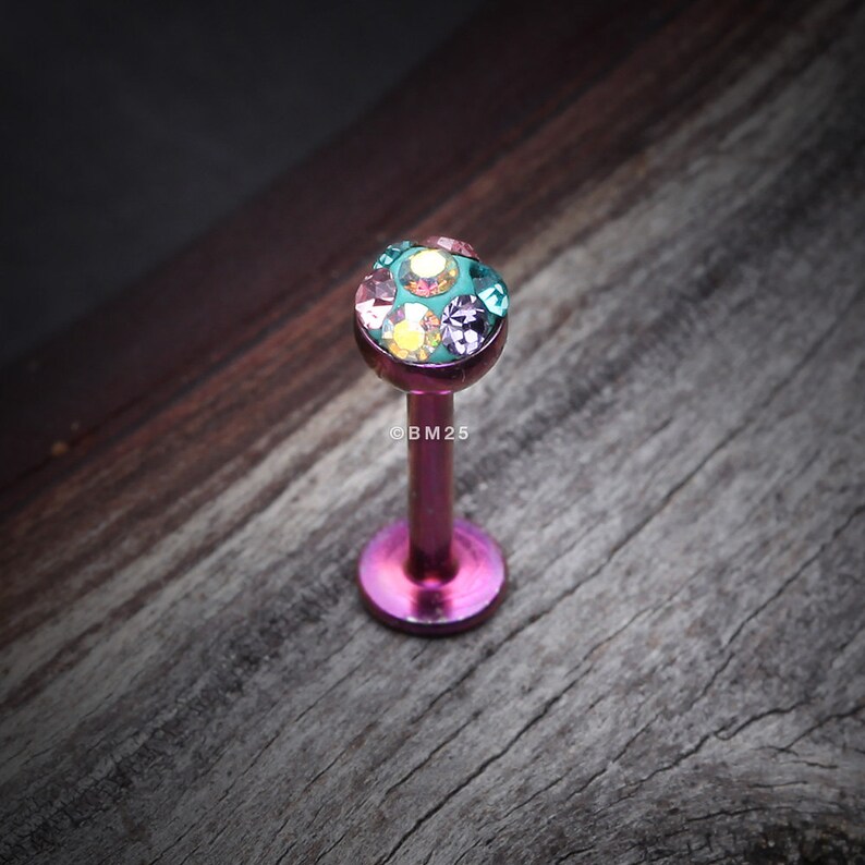 tragus, helix, cartilage, lip ring PurpleBubblegum Colorline Sprinkle Dot Sparkles Multi Gem Steel Labret