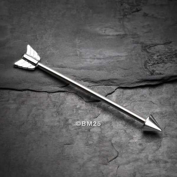 Classic Arrow Industrial Barbell