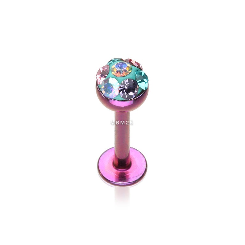 tragus, helix, cartilage, lip ring PurpleBubblegum Colorline Sprinkle Dot Sparkles Multi Gem Steel Labret