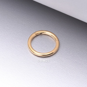 Pure24K Implant Grade Titanium Basic Seamless Hinged Clicker Hoop Ring