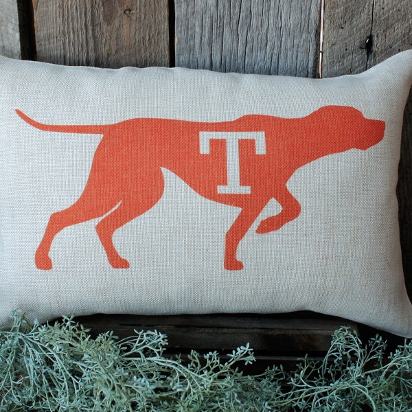 University of Tennessee Pillow, University of Tennessee Decor, Rocky Top Pillow, Rocky Top Decor, University of Tennessee Smokey Dog