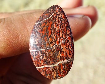 Fossilized Dinosaur Bone Cabochon