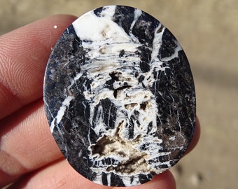 White Buffalo Cabochon