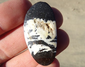 White Buffalo Cabochon