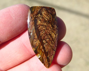 Biggs Picture Jasper Cabochon