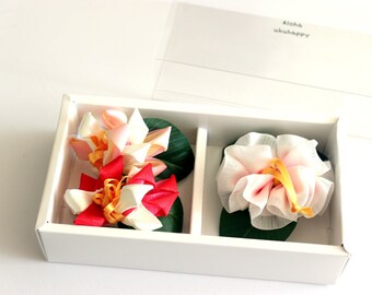 Hawaiian accessories gift box (Hair ties & clip set), Beach Hair Tie, Ponytail Holders, hair bow, tropical flower , tropical hair accessory