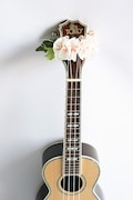 White Plumeria Ribbon Lei | Ukulele Strap Accessory Stage Decor | Tropical Wedding Musician Gift product logo