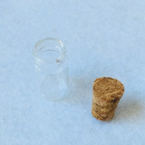 Puede incluir: Una botella de vidrio transparente con un tap&oacute;n de corcho. La botella est&aacute; vac&iacute;a y el tap&oacute;n es de madera natural.