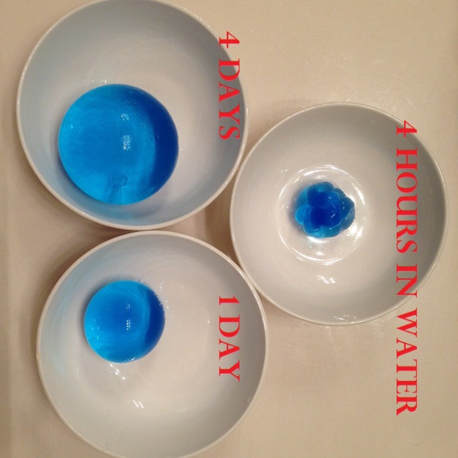 48pcs Colorfull JUMBO Water Jelly Ball For Party /Home Decor Etsy