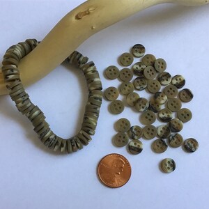May include: A close-up of a pile of brown and white speckled buttons with four holes each. The buttons are scattered on a white surface next to a brown wooden stick and a US penny.