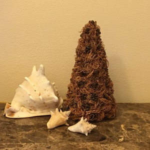 May include: A brown, twig-like Christmas tree decoration with three white seashells at the base.