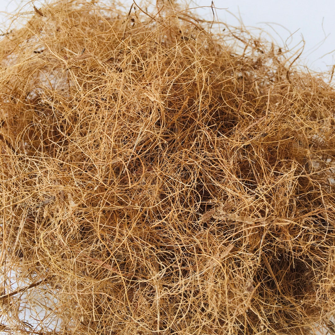 6 Oz 170 G Natural Coconut Fiber Bedding Nesting Material Etsy
