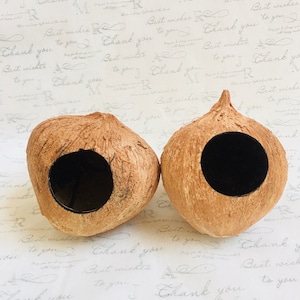 May include: Two brown coconut shells with a circular hole cut out of each. The shells are sitting on a white surface with a pattern of handwritten text.