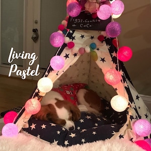 Puede incluir: Una tienda de campaña tipi blanca y azul con estampado de estrellas con un perro pequeño durmiendo dentro. La tienda de campaña está decorada con luces de bolas de algodón pastel rosa, morado y blanco. Un letrero en la tienda de campaña dice "Piggy, Cookie & Coco".