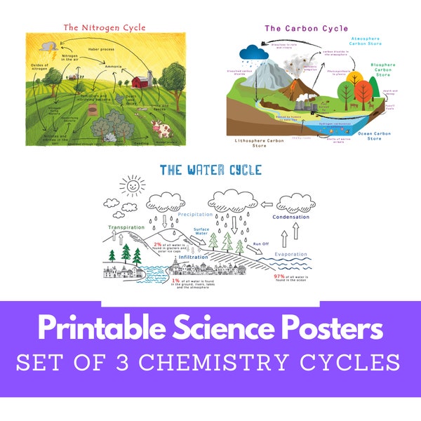 Printable Science Poster Set | Chemistry Cycles, Carbon Cycle, Nitrogen Cycle and the Water Cycle | Classroom Decor