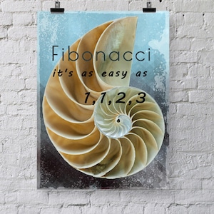Maths Poster - Fibonacci Joke