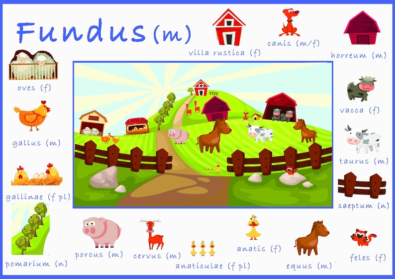 Printable Set of 6 Latin Vocabulary Posters | LOTE Print | Ancient ...