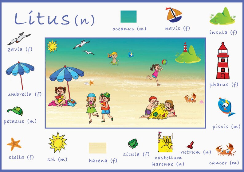 Printable Set of 6 Latin Vocabulary Posters | Etsy Australia
