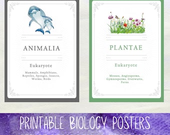 Printable Biology Posters The 6 Kingdoms Science Posters | Classroom Decor