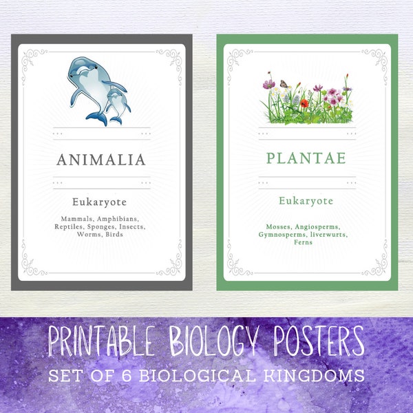 Druckbare Biologie Poster Die 6 Königreiche Wissenschaft Poster | Klassenzimmer Dekor