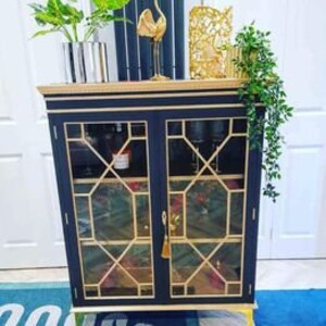 Beautiful Cocktail/Display Cabinet