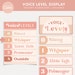 Voice Level Chart Classroom Printable Display, Editable in Canva, Boho ...