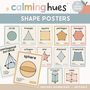 Posters met bewerkbare vorm voor in de klas | Kalmerende tinten met attributen | 2D- en 3D-vormgrafieken | Sjabloon pastel canvas voor thuisonderwijs